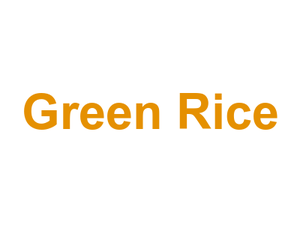 Green Rice Logo