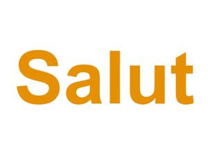 Salut Logo