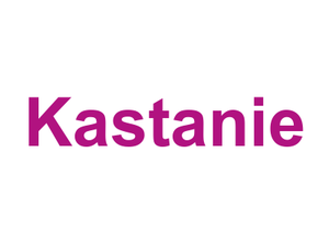 Kastanie Logo