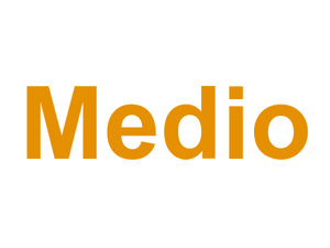 Medio Logo