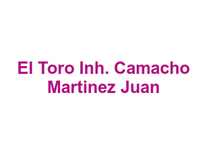 El Toro Inh. Camacho Martinez Juan Logo