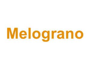 Melograno Logo