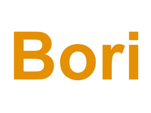 Bori Logo