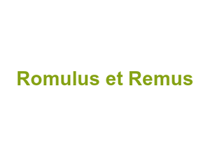 Romulus et Remus Logo
