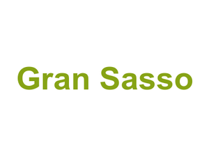 Gran Sasso Logo