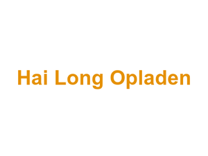 Hai Long Opladen Logo