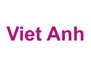 Viet Anh Logo