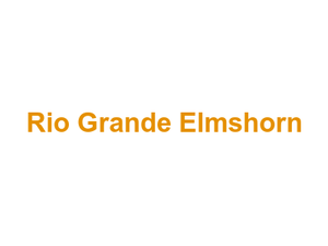 Rio Grande Elmshorn Logo