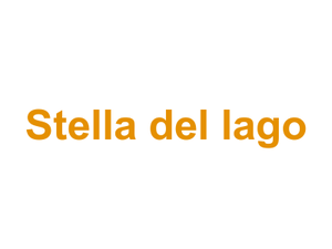 Stella del lago Logo