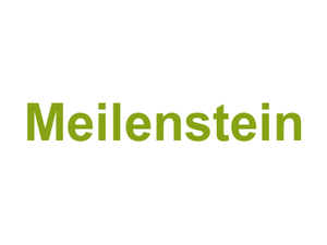 Meilenstein Logo