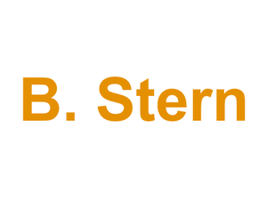 B. Stern Logo