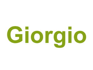 Giorgio Logo