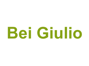 Bei Giulio Logo