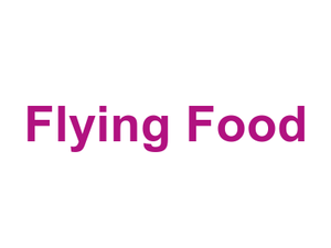 Flying Food Logo