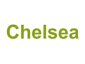 Chelsea Logo