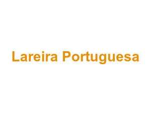 Lareira Portuguesa Logo