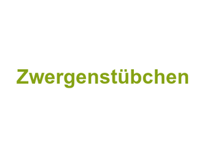 Zwergenstübchen Logo