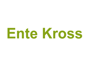 Ente Kross Logo