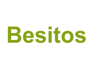Besitos Logo