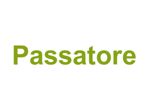 Passatore Logo