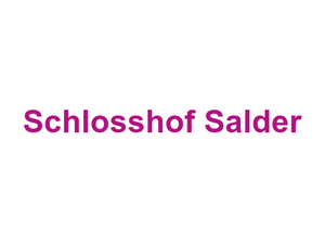 Schlosshof Salder Logo