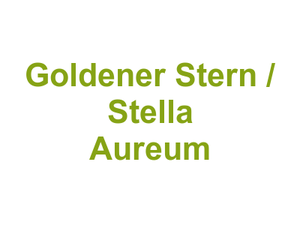 Goldener Stern / Stella Aureum Logo