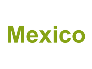 Mexico Logo
