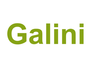 Galini Logo