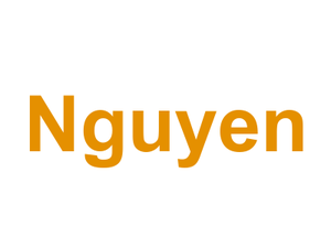 Nguyen Logo