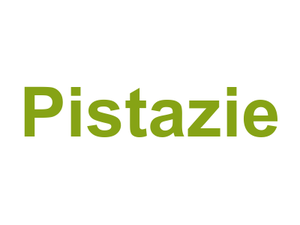 Pistazie Logo