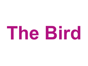 The Bird Logo