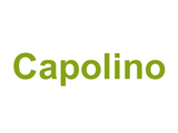 Capolino Logo