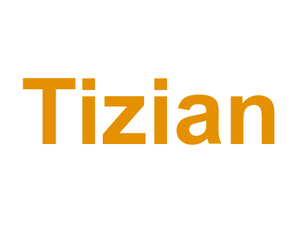 Tizian Logo