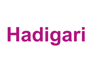 Hadigari Logo