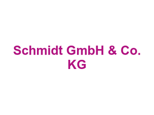 Metzgerei Fleischerei Schmidt GmbH & Co. KG Logo