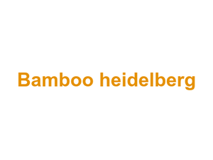 Bamboo heidelberg Logo
