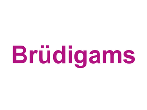 Brüdigams Logo