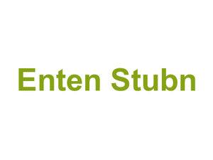 Enten Stub'n Logo