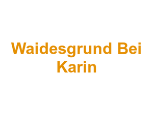 Vereinsgaststätte Waidesgrund "Bei Karin" Logo
