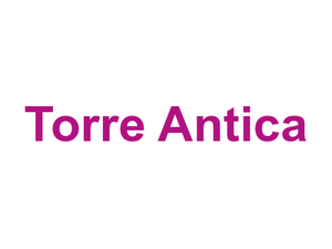 Torre Antica Logo