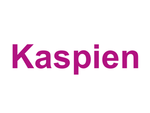 Kaspien Logo