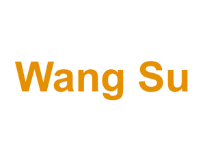 Wang Su Logo