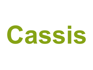 Cassis Logo