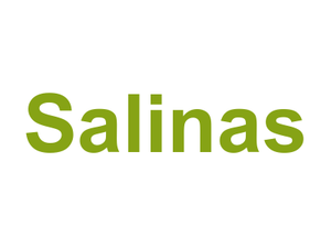 Salinas Logo