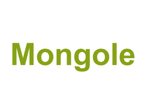 Mongole Logo
