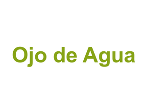 Ojo de Agua Logo