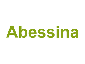 Abessina Logo
