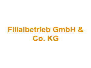 Metzgerei JURA-Fleisch Filialbetrieb GmbH & Co. KG Logo