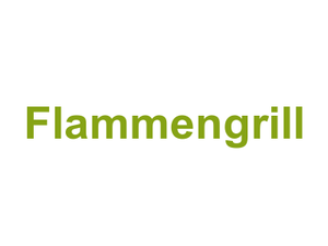 Flammengrill Logo