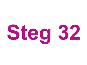 Steg 32 Logo